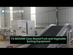 Fruit sorting-FS BEAVER