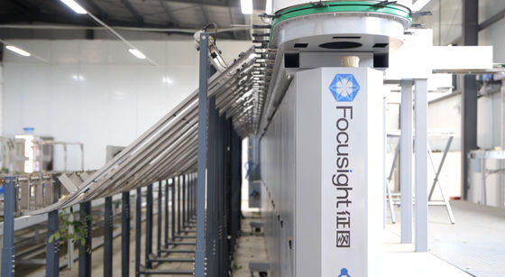 Focusight Rose Sorting Machine and Rose Packaging Machine