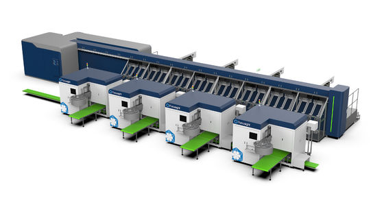 Focusight Rose Sorting Machine and Rose Packaging Machine