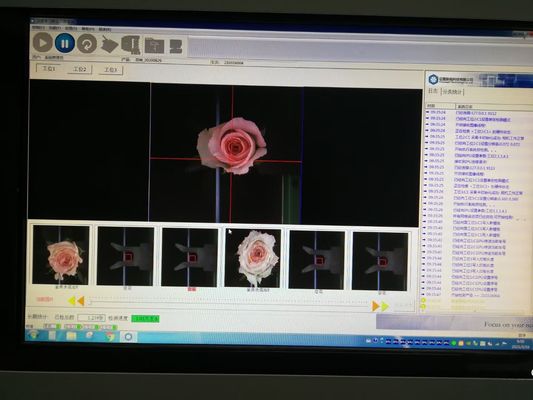 Flower Detection Vision Inspection Equipment Fully Automatic